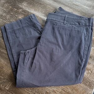 Ann Taylor Navy Blue Women's Trousers